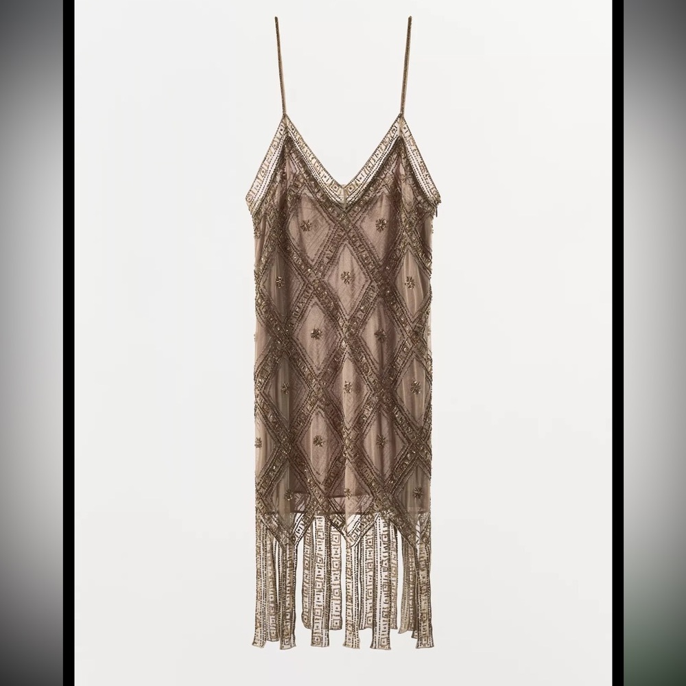 Zara limited edition EMBROIDERED TULLE Mini DRESS - Picture 6 of 15